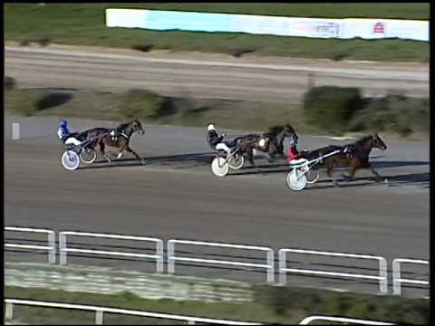 Trotto 30/12/2014 - 1°prova di qualifica