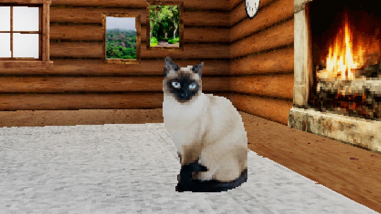 AKU HARUS MENJAGA KUCING IMUT INI NAMUN HAL ANEH TERJADI.... TAKE CARE OF THE CAT