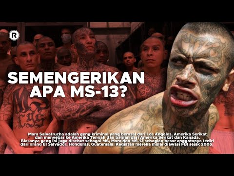 HOW MS-13 BECAME THE WORLD'S MOST TERRIFYING GANG