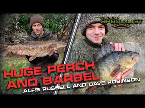 HUGE Perch and Barbel | Alfie Russell & Dave Robinson | Drennan Specialist