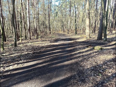 Paranormalna Polska cz.11 - Las pod Płochocinem