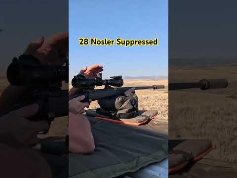 #SundayGunday: Nosler Model 21