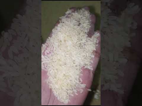 White ir 64 parboiled rice, 50 kg, pp bag