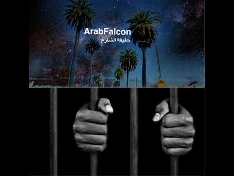 Arab Falcon Mistake - صقر العرب غلطة