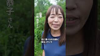 八甲田山の登山道、クマ被害で1カ月閉鎖に　「行動域広がる」懸念も　#クマ #ツキノワグマ #八甲田山