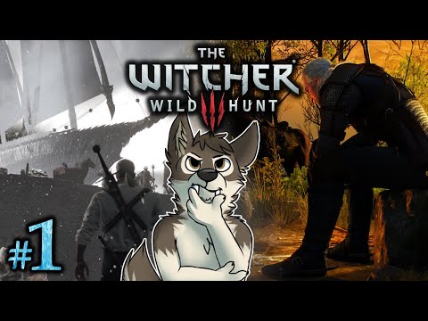 DREAMS OF THE LOST || THE WITCHER 3 Let's Play Part 1 (Blind) || THE WITCHER 3: WILD HUNT Gameplay