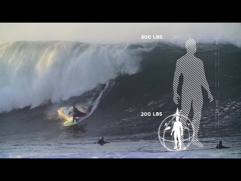 Scientific Breakdown of JOB's Wedge Board Transfer