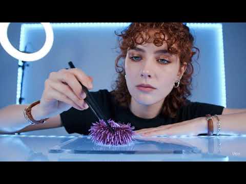 Hyper Realistic Girl Eating Sea Urchin | ASMR