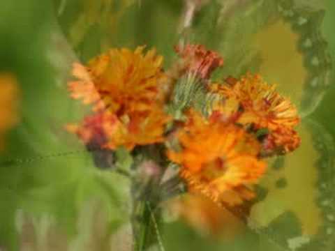 Thumbnail for You're Still God video