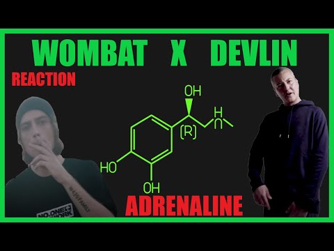 WOMBAT X DEVLIN - ADRENALINE | REACTION