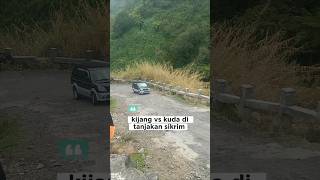 Download lagu MOBIL INI TANGGUH !!! KUDA 1999 LIBAS TANJAKAN SIKARIM #automobile #dieng #mitsubishi #fyp mp3 Download lagu MOBIL INI TANGGUH !!! KUDA 1999 LIBAS TANJAKAN SIKARIM #automobile #dieng #mitsubishi #fyp mp3