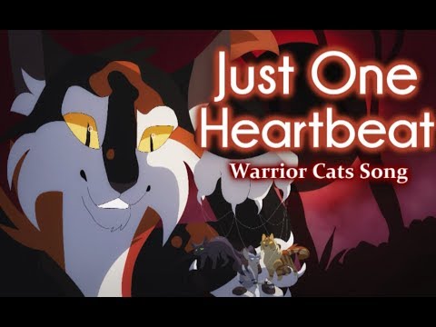 cat named sugar story cat named sugar story