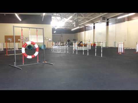 Tracy and Quimblee 1-  04/02/2014