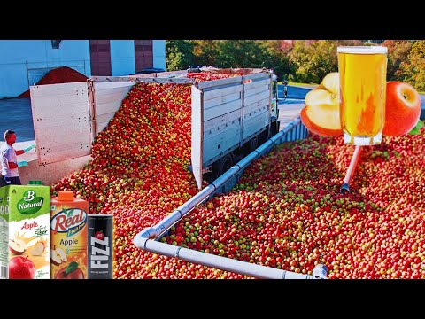How APPLE JUICE is Made IN FACTORIES | Modern Fruit Juice Making Technology