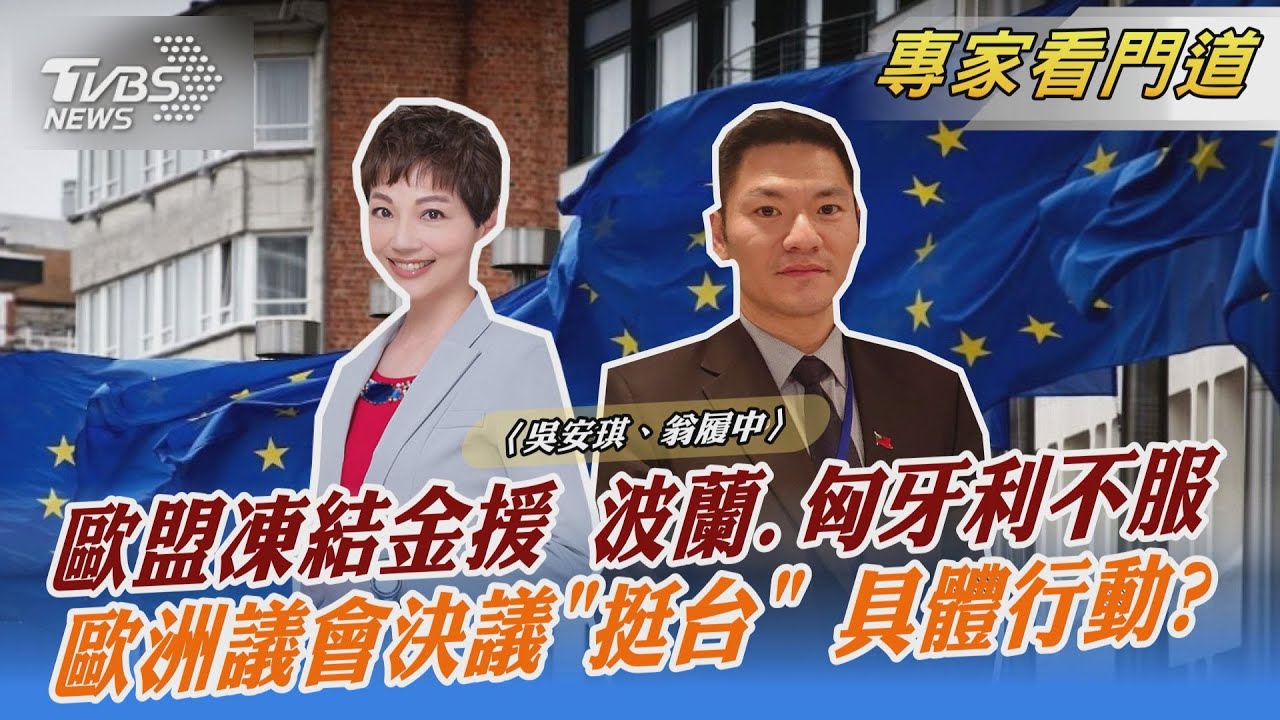 歐洲議會決議案 通過納入挺台灣條文 翁履中：任何條件下獲得幫助都是加分