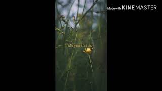 Download lagu Seberkas sinar - Nike ardila ( Adlani Rambe Cover ) untuk status WA dan IG mp3