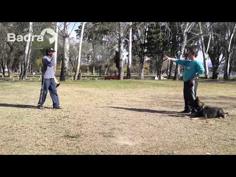 Protección y Defensa de personas || Badra - Adiestramiento