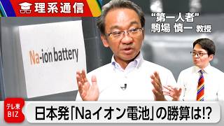 「ナトリウムイオン電池」第一人者が実用化に挑む　中国先行、日本に勝機は？【橋本幸治の理系通信】