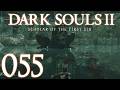 Dark Souls 2 [055] - Pause zwischen den Gebieten