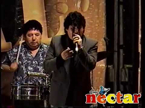 Te espero en el cielo - grupo nectar | en vivo