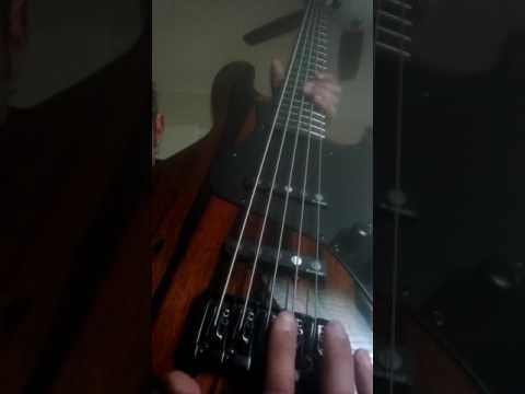Michael Kelly Element 5 bass