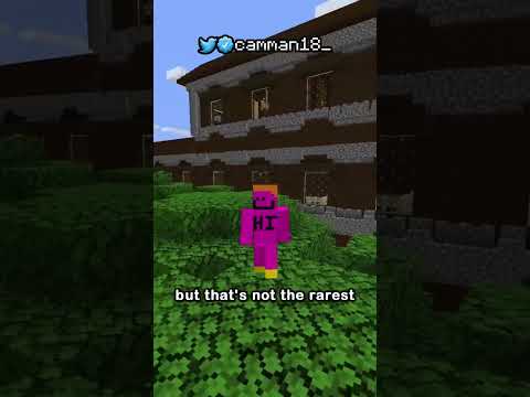 The Best Seed In Minecraft History...