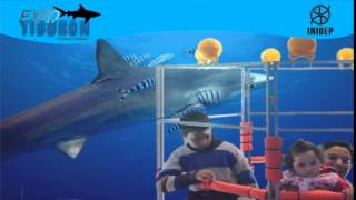 DIA 3 Expo Tiburon38