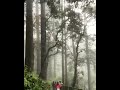 Nature WhatsApp Status