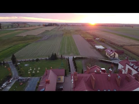 Wielkie Oczy - Historia prawdziwa - cz.4