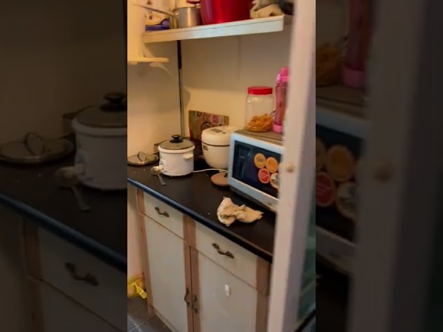 Studio Corner Terrace (Landed) for Rent in Onan Road - Image 26