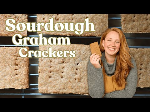 Delicious Homemade Sourdough Graham Crackers