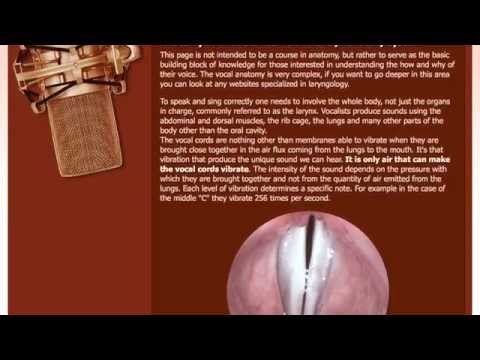 Anatomy of the vocal cords and the phonatory system