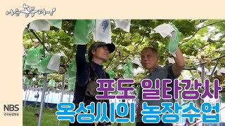 [나는농부다 212회] 포도 일타강사 옥순씨의 농장수업