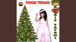 Download lagu Pohon Terang mp3 Download lagu Pohon Terang mp3
