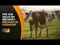 Curso Administração da Pequena Empresa Rural