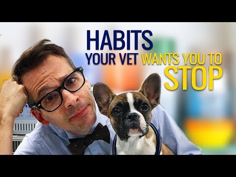 Habits Vets Want You to Stop