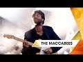 The Maccabees Pelican Glastonbury 2025