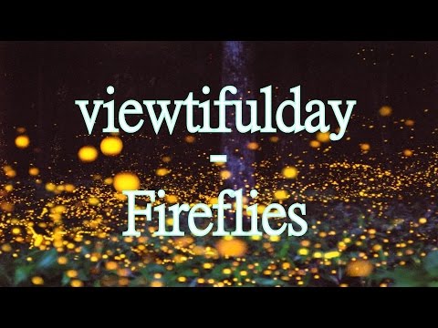viewtifulday - Fireflies