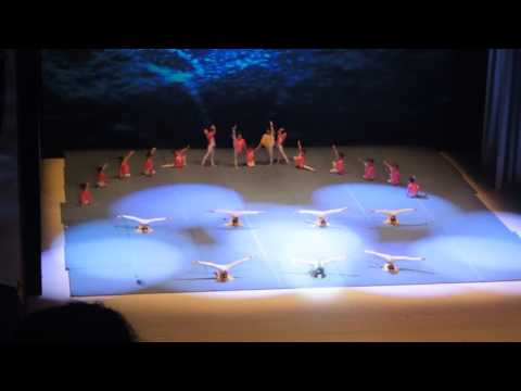 Sarau de Gala GCP 2017 - Ginástica Rítmica