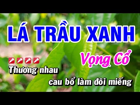Karaoke Lá Trầu Xanh Vọng Cổ Tone Nữ Dây Đào | Hoài Phong Organ