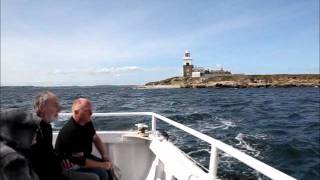 preview picture of video 'Coquet Island, Amble, Northumberland'