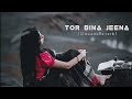 Tor Bina Jeena Nagpuri Lofi Song 2024 Smooth And Serene Slowed Reverb Nagpurisong
