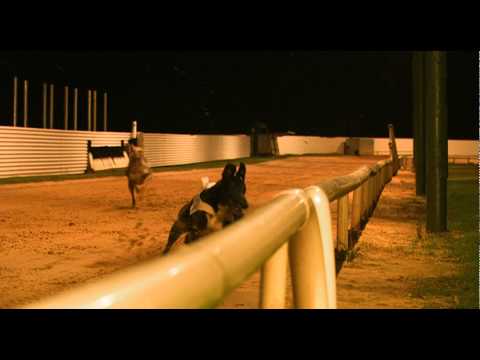 download lagu mp3 mp4 Man About A Dog Movie, download lagu Man About A Dog Movie gratis, unduh video klip Man About A Dog Movie