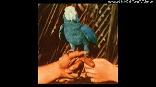 Andrew Bird - Chemical Switches