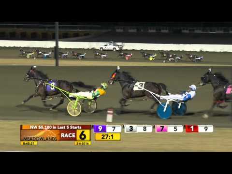 Meadowlands February 6, 2016 - Race 6 - Giant Slayer