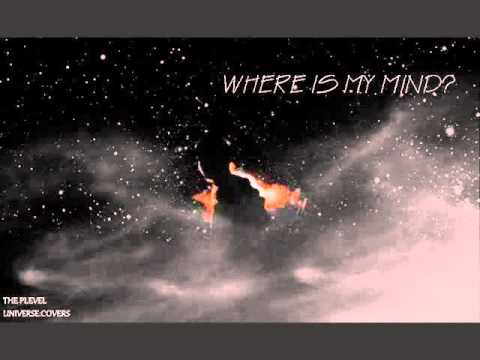 The Plevel - The Plevel - Where Is My Mind (cover) (original by PIXIES)