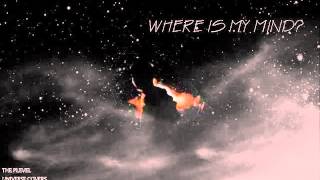 Video The Plevel - Where Is My Mind (cover) (original by PIXIES)