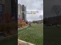 Should This Be A Series Comedy Funny Funnyshorts Shortvideo Shorts