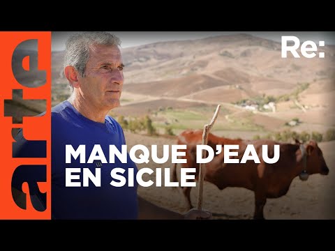 La Sicile en proie à la sécheresse | ARTE Regards