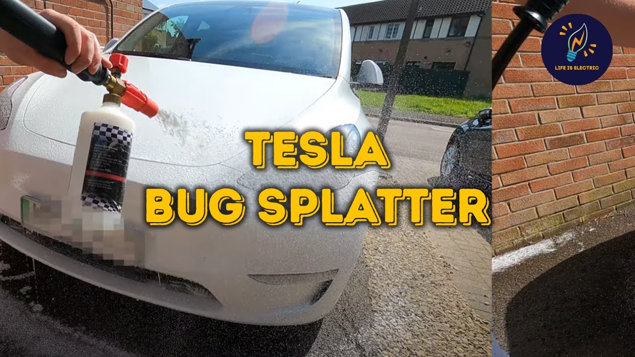 Remove bug splatter on Tesla MY! Non-Touch - Life is Electric